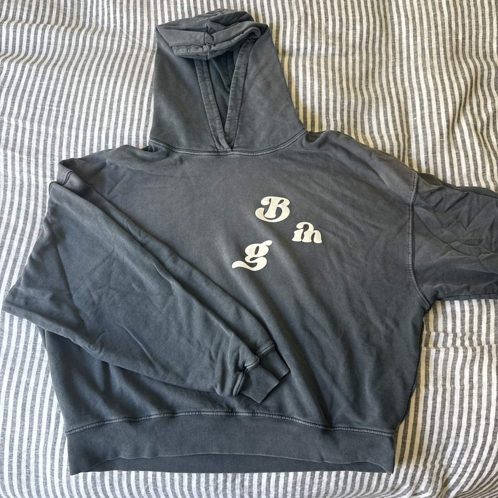 Anine Bing grey Hooded Sweater